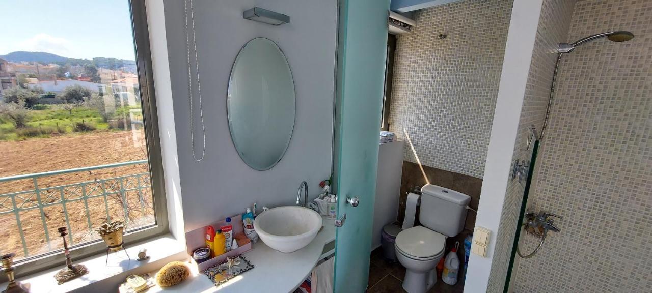 Lenia'S Loft Daire Artemida  Dış mekan fotoğraf